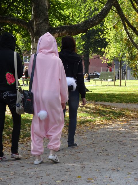 Die spinnen... Teil 1 3 Hasenkostüm. Manga Treffen in Tampere Finnland ©Foto: Tarja Prüss | Tarjas Blog
