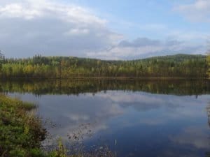 Herbstimpression See Und Wald ©Foto: Tarja Prüss | Tarjas Blog - Reiseblog Finnland