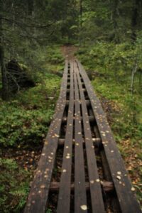 Holzbohlen Weg im Wald in Finnland ©Foto: Tarja Prüss | Tarjas Blog