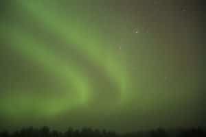 Polarlicht - zwei parallele Bänder. Finnland ©tarja prüss | Tarjas Blog - Reiseblog Finnland