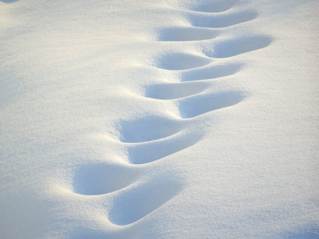 spuren im schnee