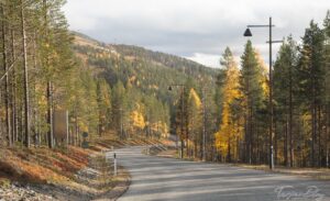 Lappland Reise - Straße in Lappland im Herbst ©Tarja Prüss - Tarjas Blog - Alles über Finnland