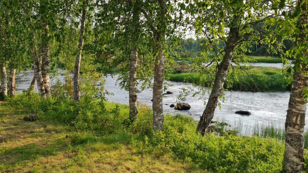 Kiiminkijoki bei Oulu. Foto: Tarja Prüss | tarjasblog.de